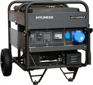   HYUNDAI HY 12000LE