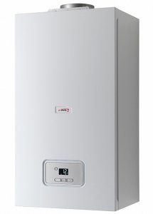 Газовый настенный котел PROTHERM Гепард 23 MOV