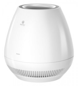 Мойка воздуха ROYAL CLIMA RAW-B350/4.2E-WT